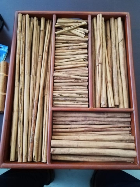 Sri lankan Cinnamon Exporter